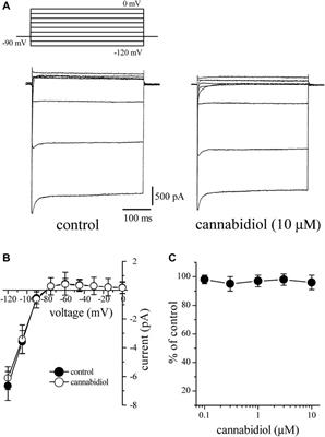 Cannabidiol Inhibits Multiple Ion Channels in Rabbit Ventricular Cardiomyocytes